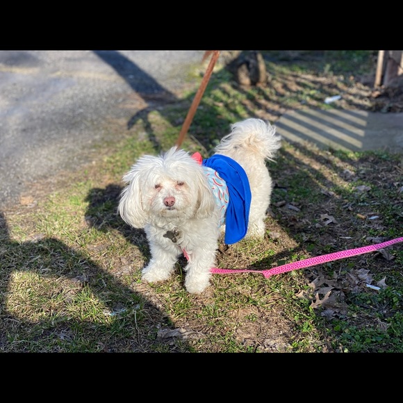 Meet your Posher, Kristyn - Picture 1 of 1